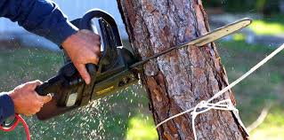 Best Lawn Watering Services  in East Rancho Dominguez, CA